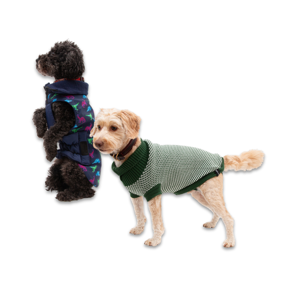 Dog Coats & Jumpers